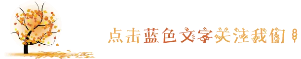 使用Celaref包进行单细胞类型注释分析（三）：Example Analyses - 图1