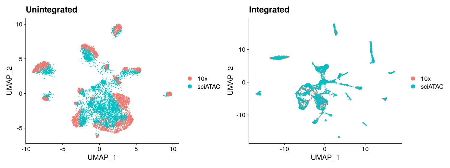 使用Signac包进行单细胞ATAC-seq数据分析（三）：scATAC-seq data integration - 图1