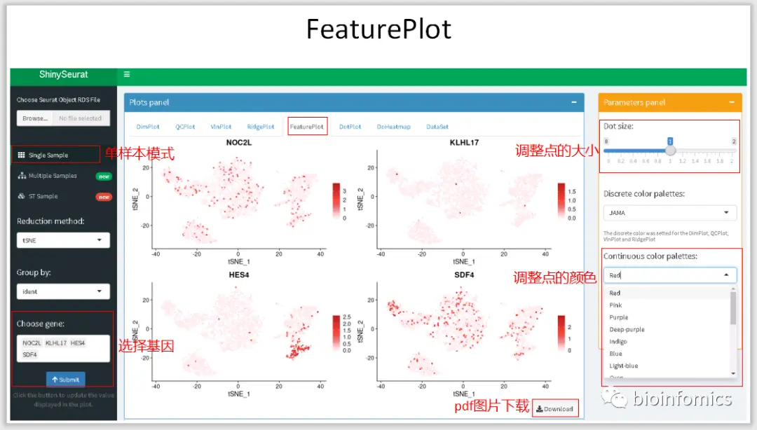 使用Shiny搭建基于Seurat包的单细胞数据可视化平台 - 图7