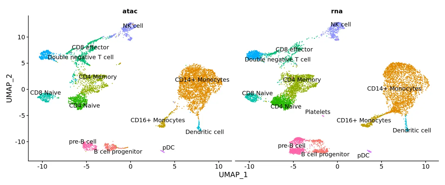 Seurat包学习笔记（六）：scATAC-seq   scRNA-seq integration - 图6