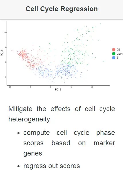 Seurat包学习笔记（八）：Cell-Cycle Scoring and Regression - 图1