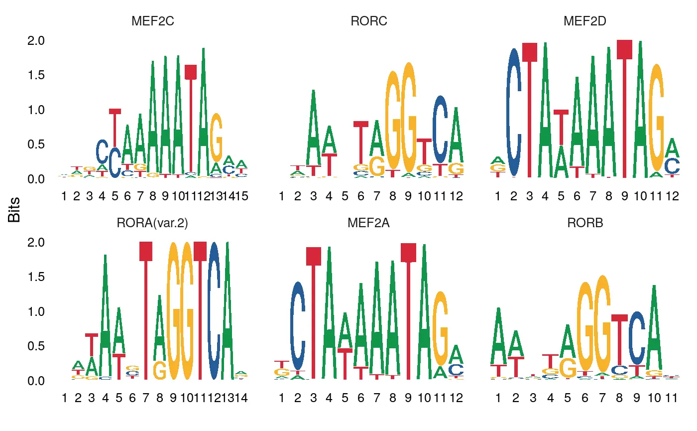 使用Signac包进行单细胞ATAC-seq数据分析（二）：Motif analysis with Signac - 图2