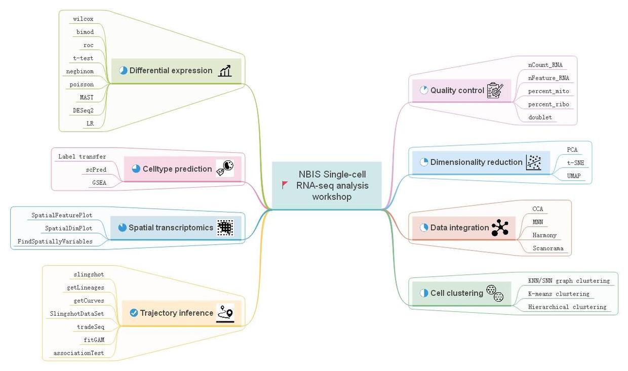 NBIS系列单细胞转录组数据分析实战汇总 - 图1