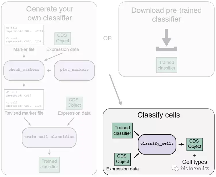 使用Garnett包进行单细胞类型分类注释分析（二）：Classify your cells - 图3