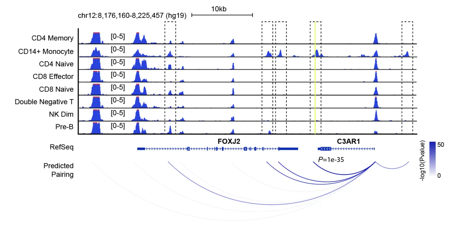 使用SnapATAC分析单细胞ATAC-seq数据（三）：Integrative Analysis of PBMC scATAC-seq and scRNA-seq - 图11