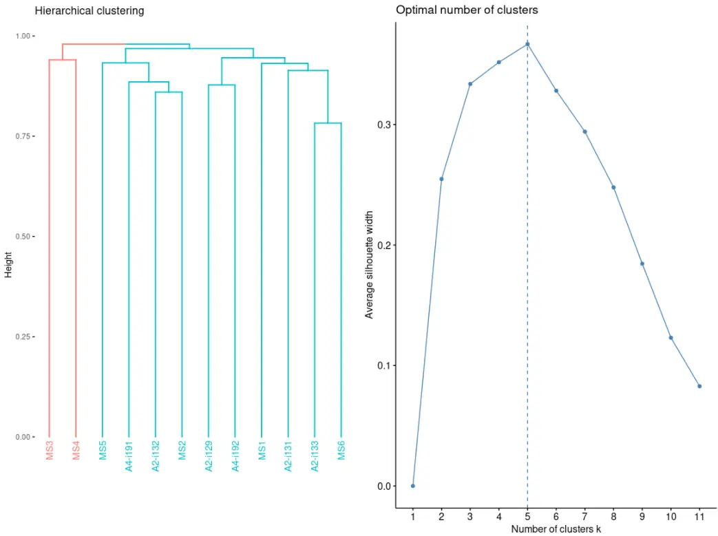 使用immunarch包进行单细胞免疫组库数据分析（六）：Gene usage analysis - 图6