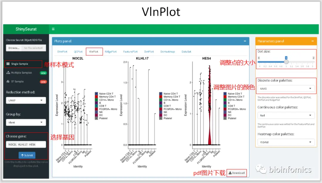 使用Shiny搭建基于Seurat包的单细胞数据可视化平台 - 图5