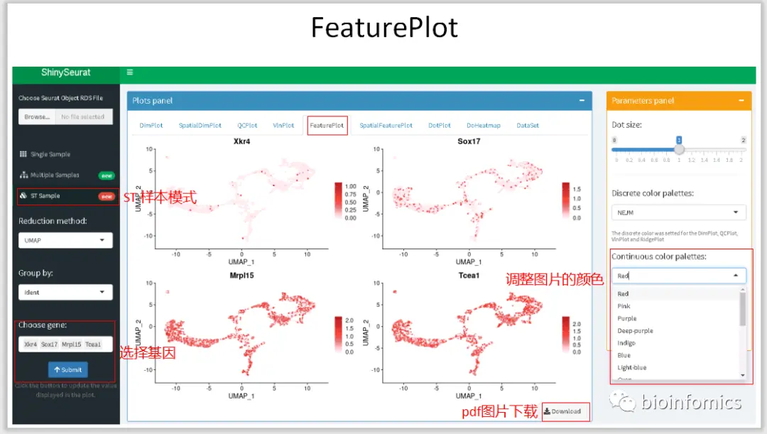 使用Shiny搭建基于Seurat包的单细胞数据可视化平台 - 图22