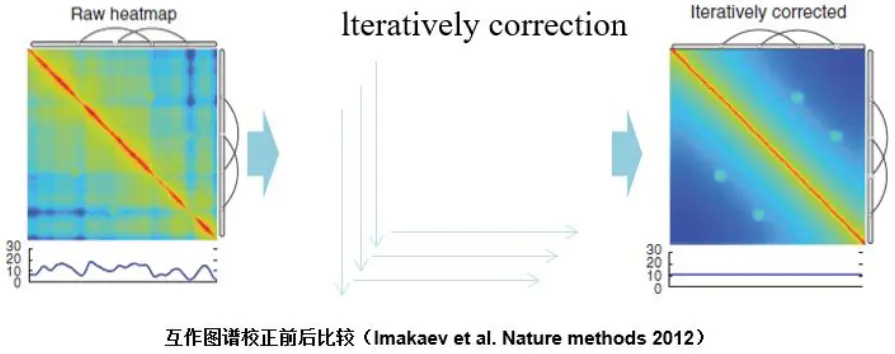 三维基因组技术（三）：Hi-C 数据比对及HiC-Pro的使用 - 图9