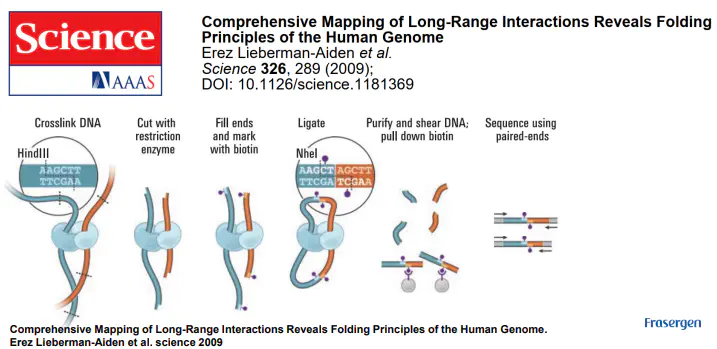 三维基因组技术（一）：简单介绍 - 图12