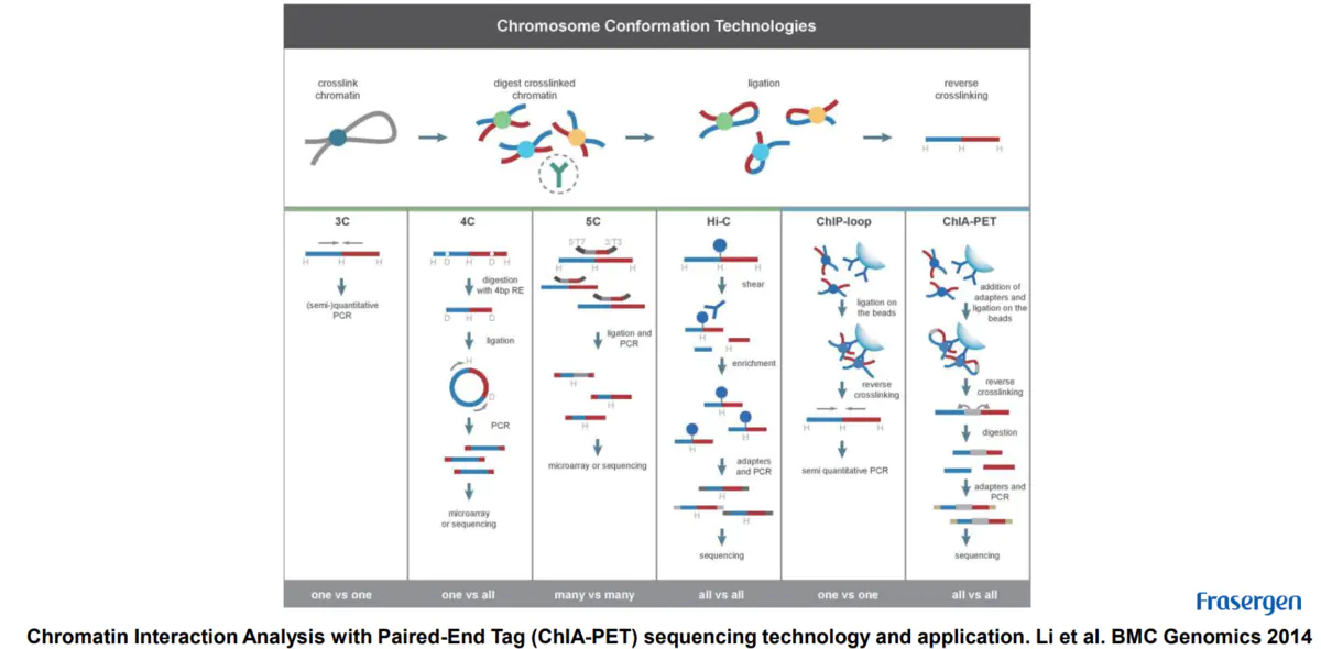 三维基因组技术（一）：简单介绍 - 图13