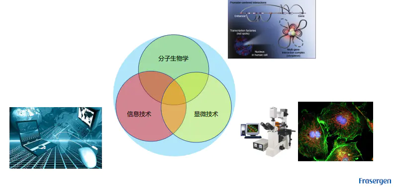 三维基因组技术（一）：简单介绍 - 图7