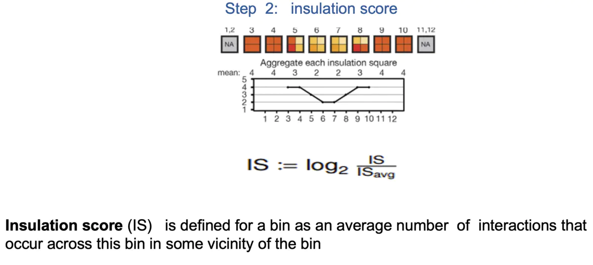 HiC数据分析-TAD分析软件—InsulationScore - 图3