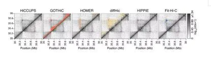比较Hi-C数据分析的计算方法 - 图6