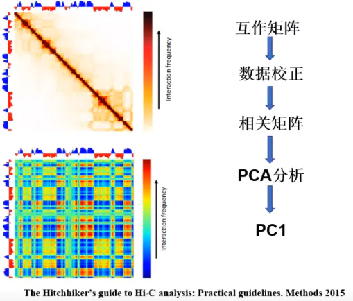 三维基因组技术（四）：Compartment 分析流程 - 图1