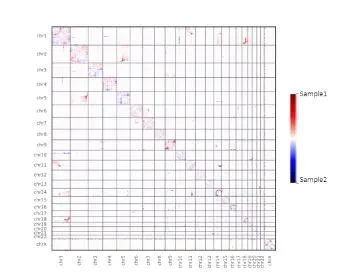 三维基因组学相关实验及分析简介 - 图23