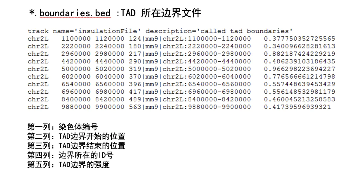 HiC数据分析-TAD分析软件—InsulationScore - 图11