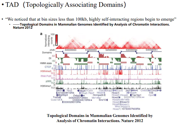 三维基因组技术（五）：TAD 分析流程 - 图1