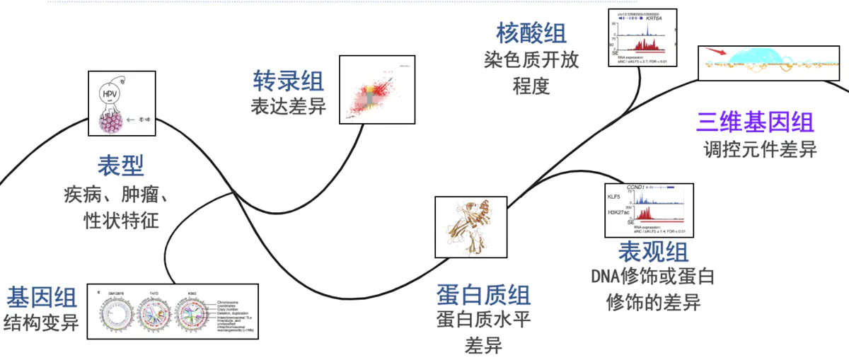 【三维基因组】浅谈三维基因组多组学联合-part1 - 图3