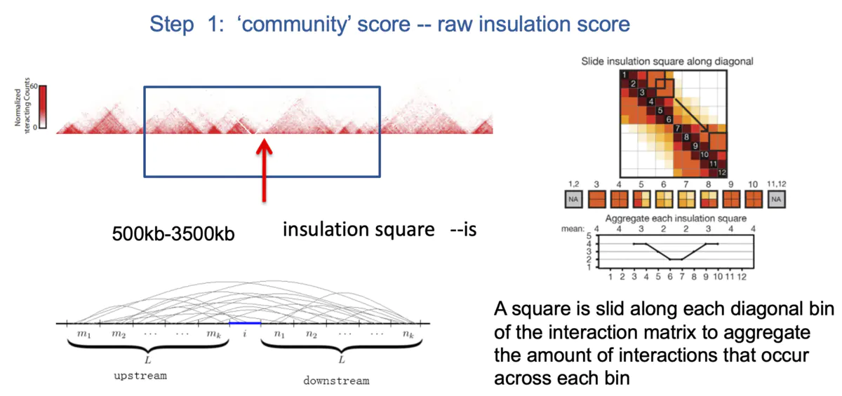 HiC数据分析-TAD分析软件—InsulationScore - 图2