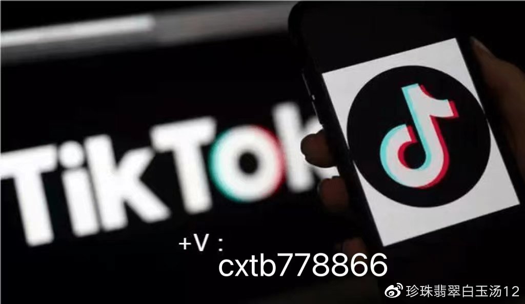 tiktok跨境mcn机构怎么申请入驻 - 图2