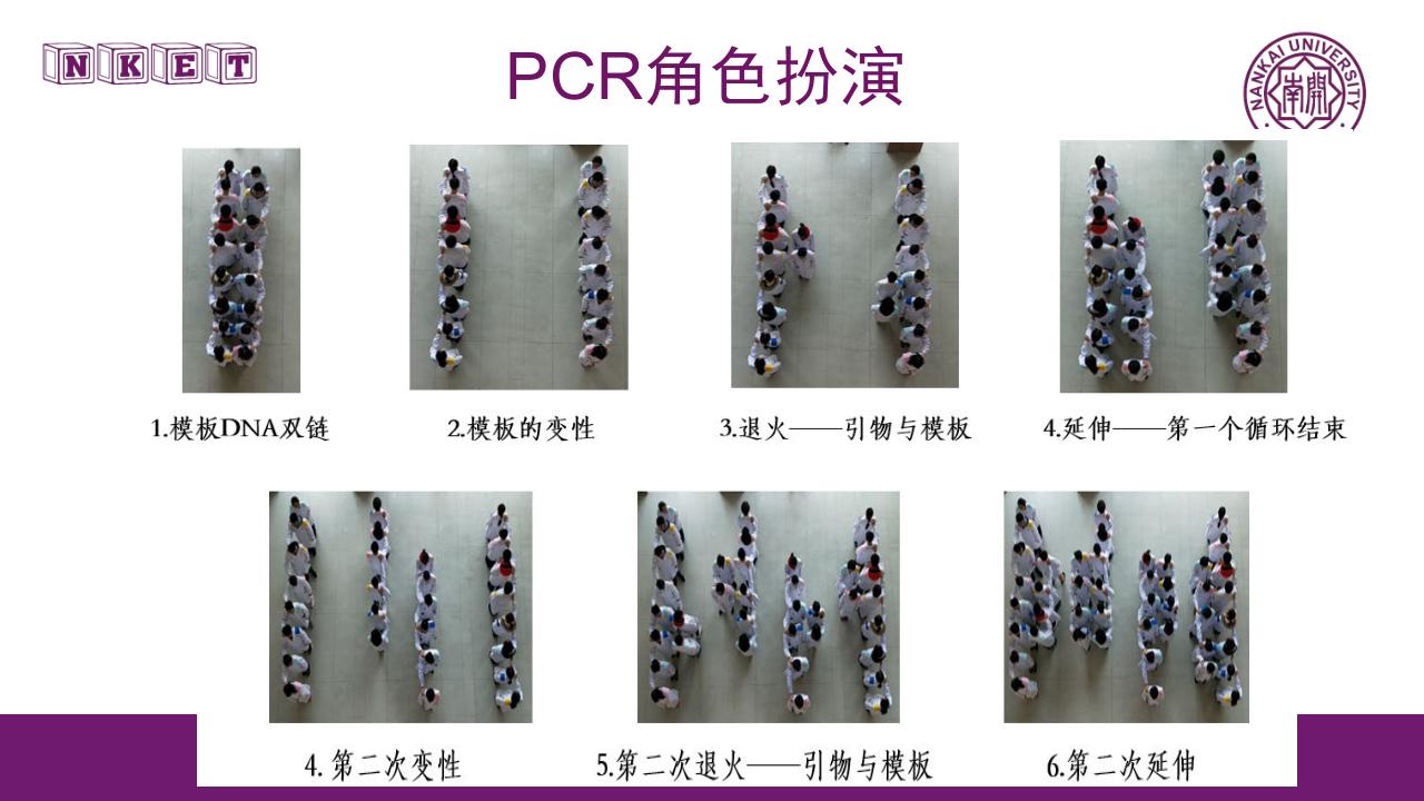 讲座笔记：《基于O-AMAS的有效教学设计理念与实施》（南开大学 李霞） - 图63