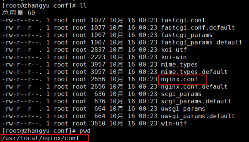 Nginx - 图12