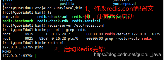 Linux中安装Redis - 图2