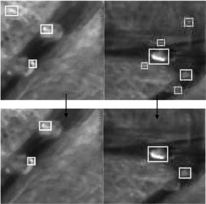 目标分割、目标识别、目标检测和目标跟踪的区别 - 图5