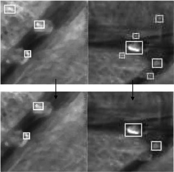 目标分割、目标识别、目标检测和目标跟踪的区别 - 图6