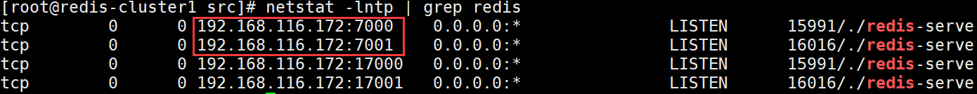redis-cluster集群部署 - 图2
