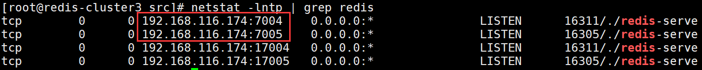 redis-cluster集群部署 - 图4