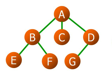 树与二叉树的对应关系 - 图1