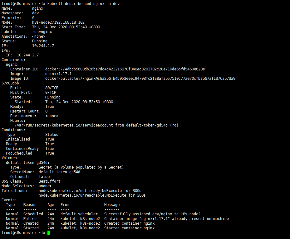 查看名称为dev的namespace下的Pod的名称为nginx的详细信息.png