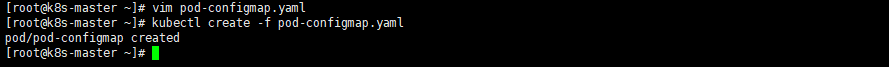 ConfigMap之创建Pod.png