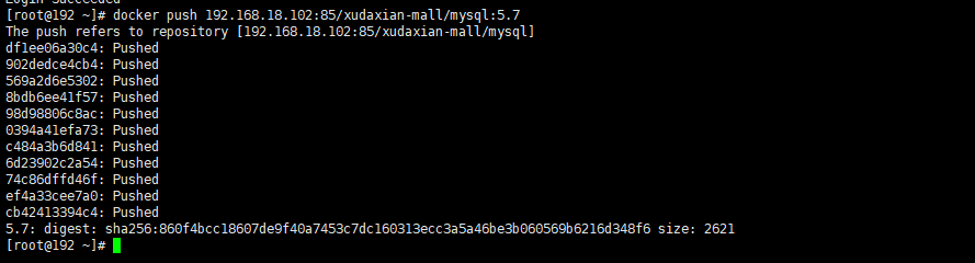 Docker将镜像上传到Harbor.png