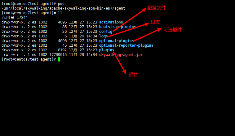 agent的目录结构.png