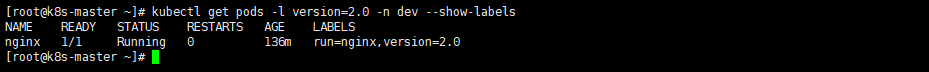 筛选版本号是2.0的在名称为dev的namespace下的Pod.png