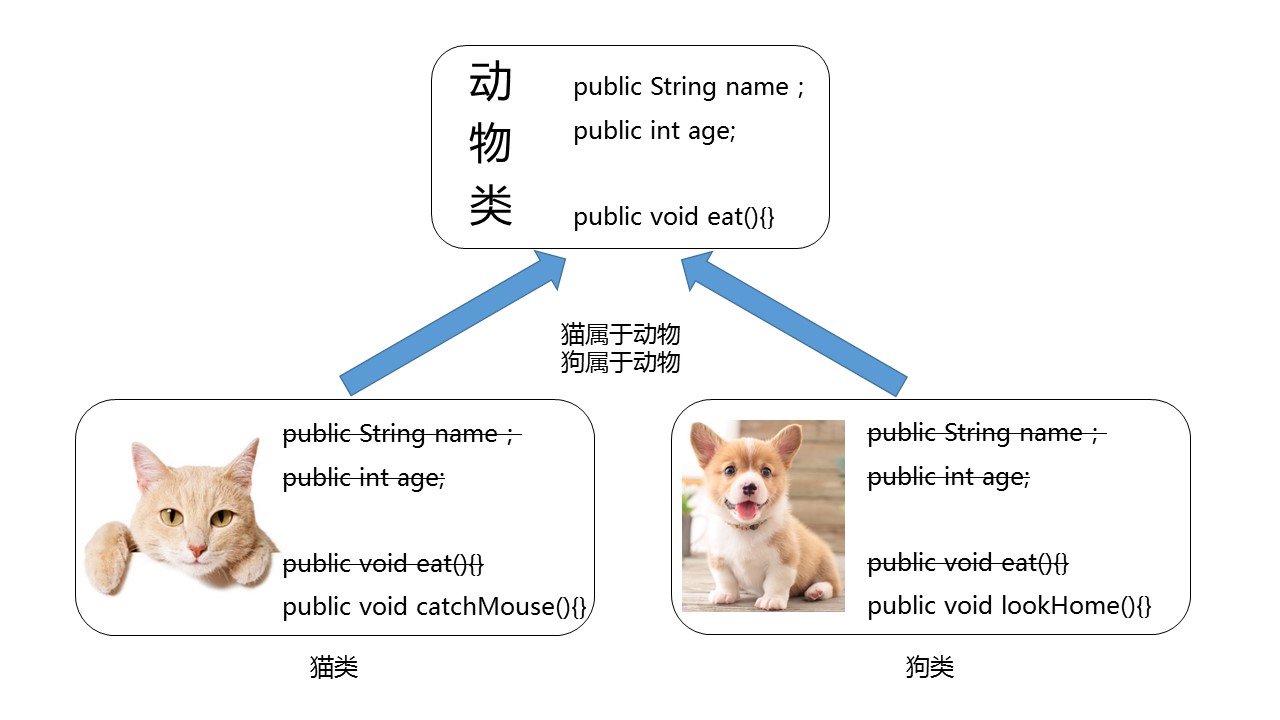 猫狗继承2.jpg
