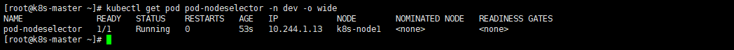 定向调度之nodeSelector查看Pod.png