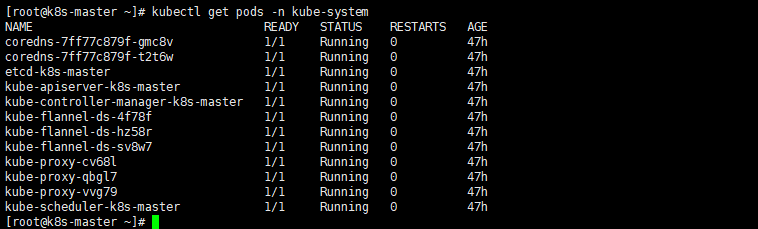 kubernetes集群在启动之后，集群中的各个组件也都是以Pod的方式运行的.png