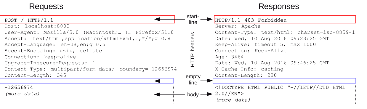 HTTPMsgStructure2.png