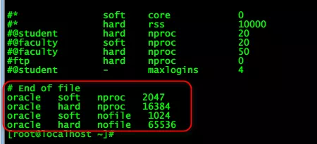 CentOS6.9下安装Oracle11gR2数据库 - 图11