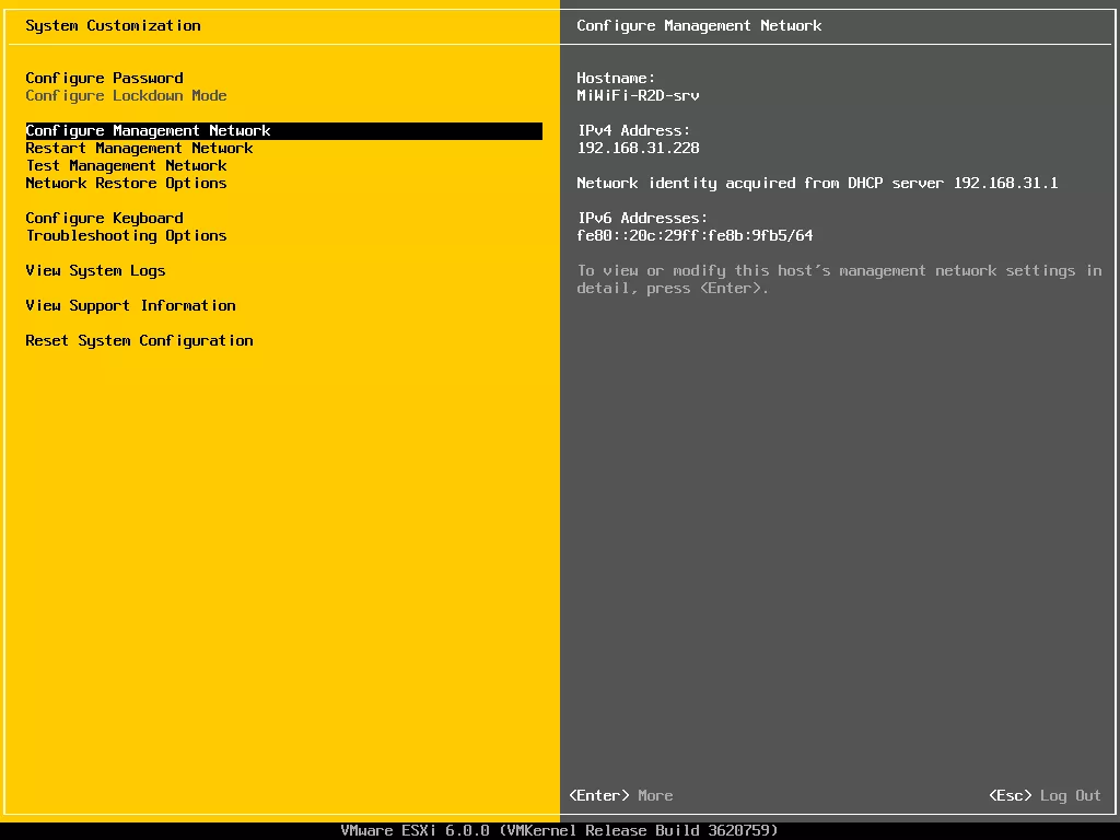 VMware vSphere ESXi6 安装部署教程 - 图22