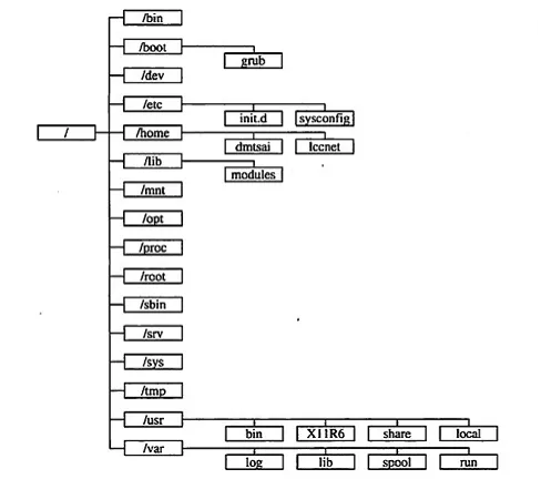 Linux文件系统的目录结构 - 图1