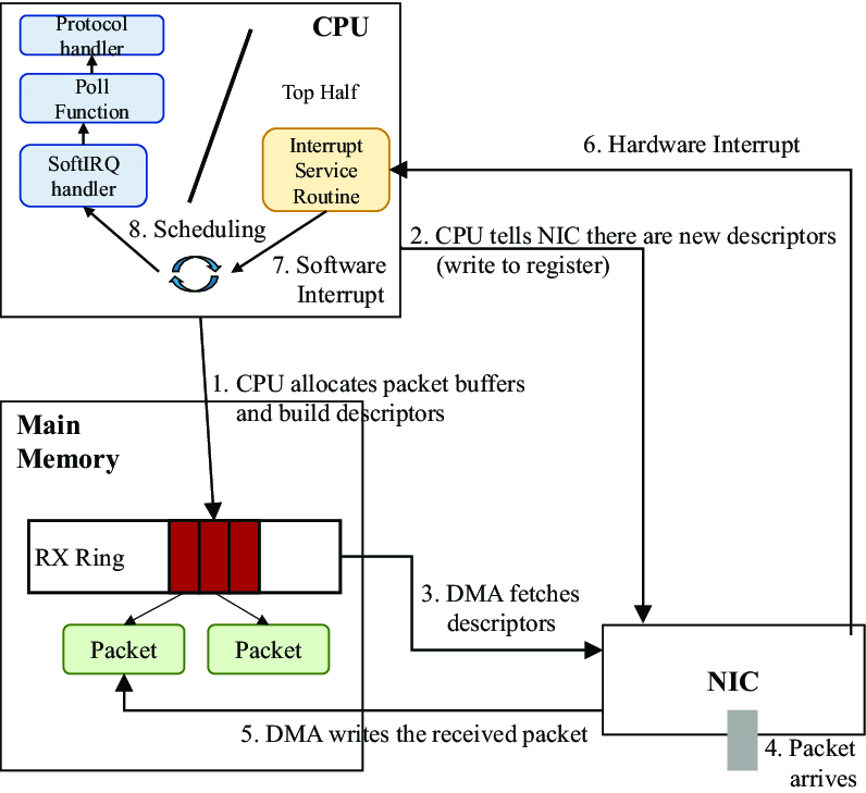 network-path