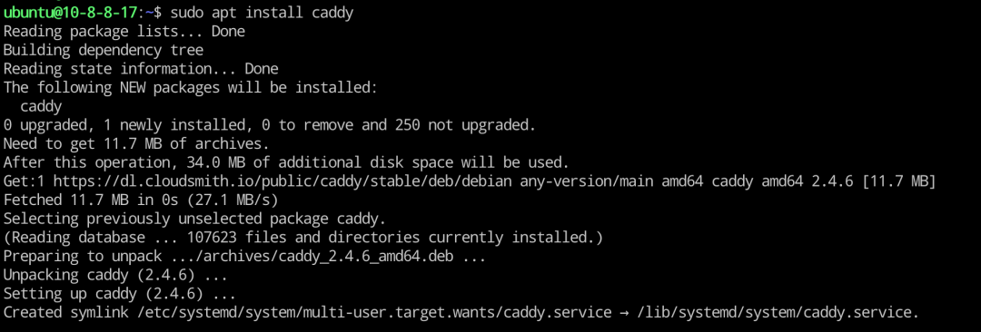 Caddy2—开源 Web 服务器 - 图3