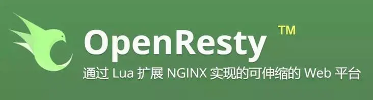 Nginx 通过 Lua   Redis 实现动态封禁 IP - 图2