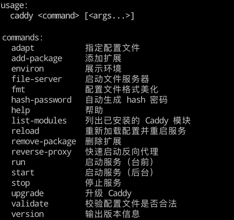 Caddy2—开源 Web 服务器 - 图9