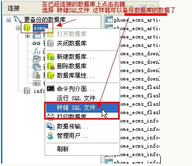 navicat premium15破解教程 - 图20